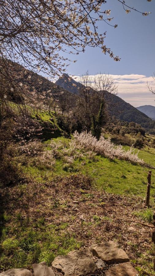 Vio Casa Rural Petricor, Ordesa מראה חיצוני תמונה